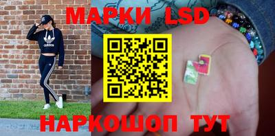 гашик Камышлов