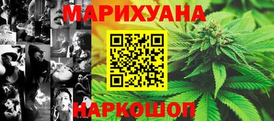гашик Камышлов