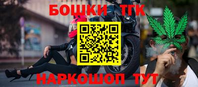 гашик Камышлов